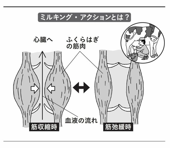 【91歳の医師が教える】もの忘れが酷くなって後悔しないために…脳を鍛えるには「下半身の筋肉を動かすといい」と断言するワケ