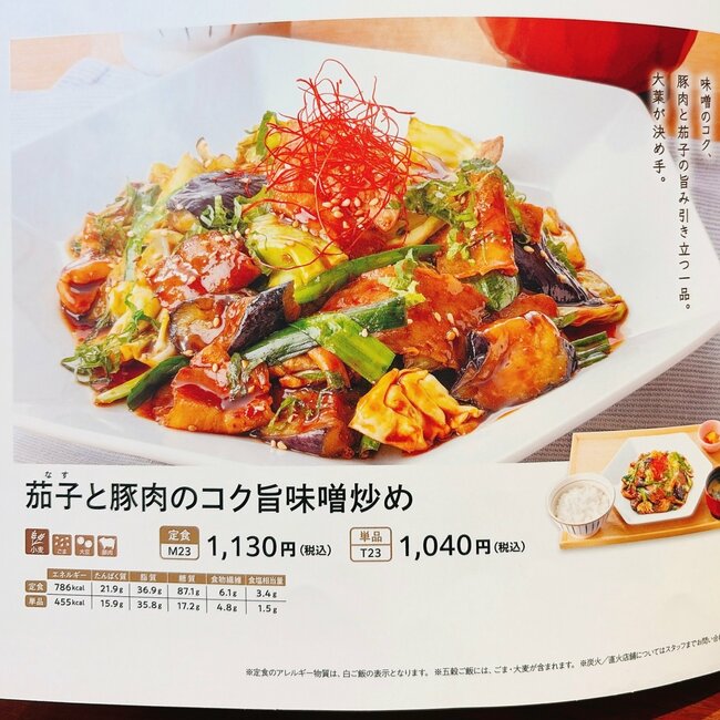 「史上最高にうまい」「毎日でも食べたい」大戸屋の“やみつき定食”味もボリュームも大満足すぎる！「ご飯が止まらない」