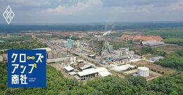 商社の鉄則に逆らい苦節20年、丸紅が「金食い虫」のインドネシア植林・パルプ事業でつかんだ「3つの価値」とは？