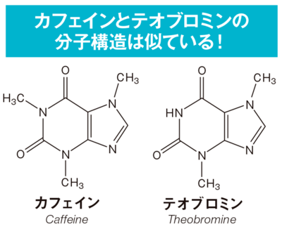 図版：カフェインとテオブロミンの分子構造