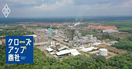 商社の鉄則に逆らい苦節20年、丸紅が「金食い虫」のインドネシア植林・パルプ事業でつかんだ「3つの価値」とは？