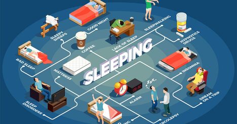 睡眠学習、外国語の習得に効果的か 寝ている時間に新しいことが学べると信じる神経科学者が増えている