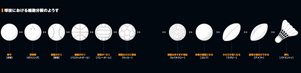 卓球～バスケ～バドミントンと「球技の細胞分裂」 <br />11個のボールをつなげて時系列の表現に成功