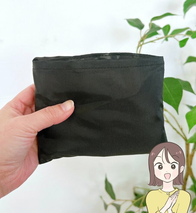 2Lのペットボトルが5本入った！アフタヌーンティーの「おしゃれエコバッグ」リュックやトートにもなって便利すぎる！