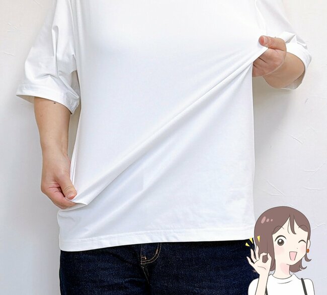 【ワークマン】しょうゆのシミが1度で消えた！980円の「汚れが落ちるTシャツ」の凄すぎる実力《購入レビュー》