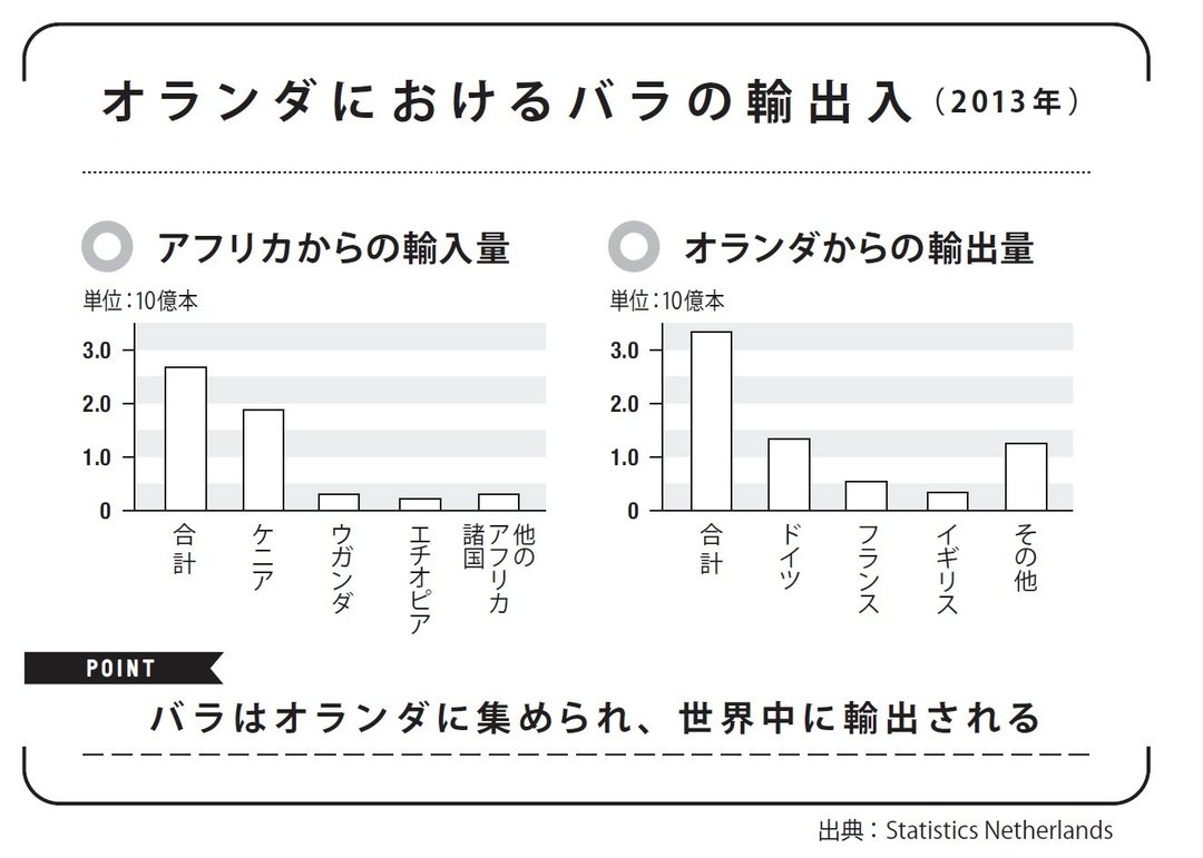 「アフリカのバラがオランダに集まる理由」気候と経済をつなげて考える