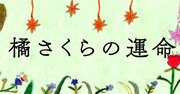 【11月23日からの未来予知】この数日間に起きる混乱と落胆、運が悪くならないためにできること