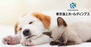 東京海上がペット保険に続き新サービス「動物薬共同購入」構想！誰が最も得をするのか？