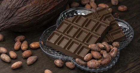 「チョコレートの明治」が中華レストランやうなぎ店で大失敗！→死屍累々のジンクスを覆した「カカオ事業部」の下剋上