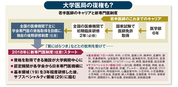 若手医師のキャリアと新専門医制度の図