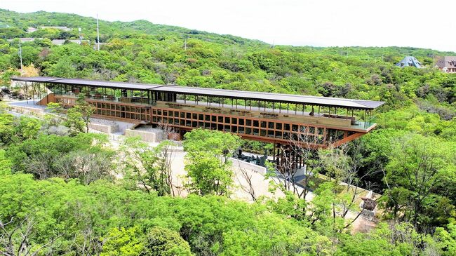 【淡路島】海岸沿いの絶景カフェ・花畑・温泉・人形浄瑠璃、春がぎゅっと詰まった新名所が続々誕生