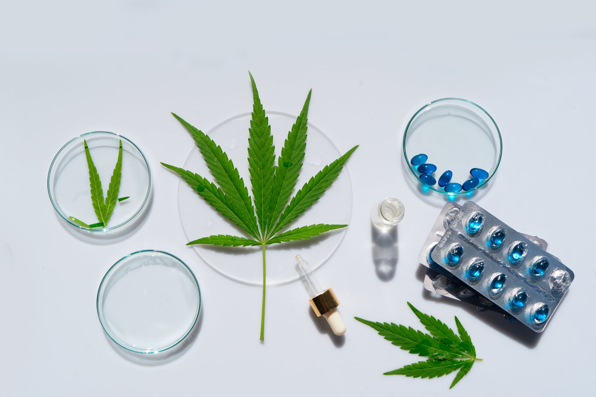 欧米諸国で進む「麻薬合法化」の根拠となっている「よい薬物／悪い薬物」論の破綻と反レイシズムの運動