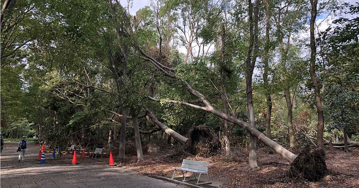 「猛烈台風」の日本襲来が地球温暖化で急増のウソとホント