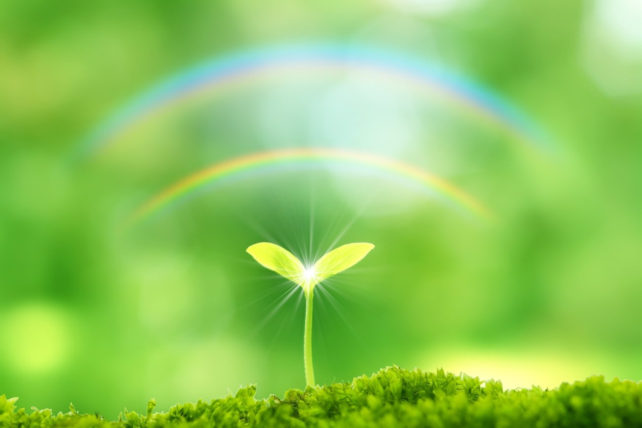 【要注意】自分の「強みの種」をつぶしてしまう“思い込み”3選とその外し方