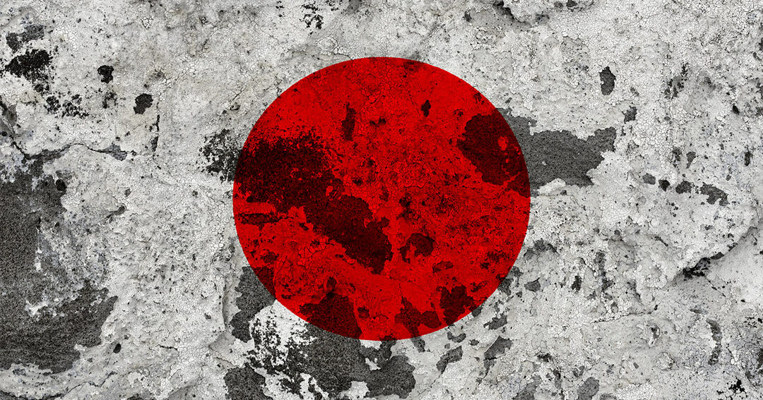 ボロボロの日の丸