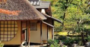 なぜ利休は、秀吉が心待ちにした「庭の朝顔」をすべて摘み取ったのか