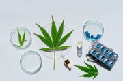欧米諸国で進む「麻薬合法化」の根拠となっている「よい薬物／悪い薬物」論の破綻と反レイシズムの運動《Editors&apos; Picks》