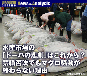 水産市場の「ドーハの悲劇」はこれから？禁輸否決でもマグロ騒動が終わらない理由