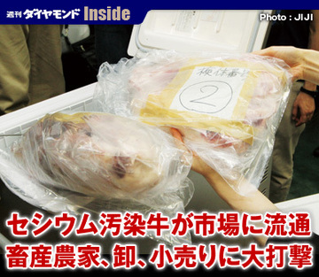 セシウム汚染牛が市場に流通畜産農家、卸、小売りに大打撃