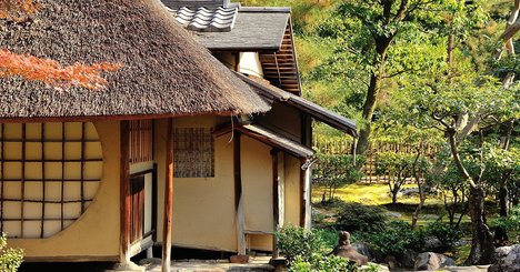 なぜ利休は、秀吉が心待ちにした「庭の朝顔」をすべて摘み取ったのか