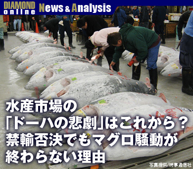 水産市場の「ドーハの悲劇」はこれから？禁輸否決でもマグロ騒動が終わらない理由