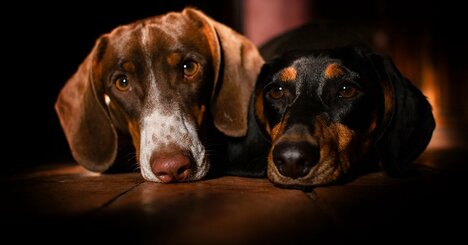 【ワークマン仕掛け人・内部事情生告白】どっちが勝つ？「しない経営」vs「する経営」！ワークマンとカインズが同じ1兆円グループなのに、真逆のスタイルで絶好調な理由