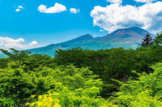 外国人観光客にまだバレてない?夏休みに行きたい「コスパ最強」な国内旅行先6選