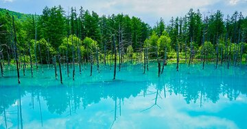 北海道旅行で絶対行くべき湖・池「ブルースポット5選」大自然に癒やされる