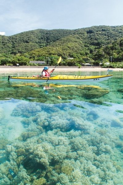 レクチャーを受けて、いざ海へ