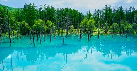 北海道旅行で絶対行くべき湖・池「ブルースポット5選」大自然に癒やされる