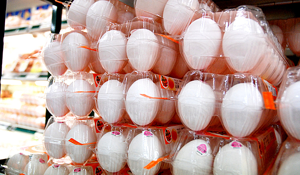 卵は常温で2ヵ月保つ！大量の食品廃棄を生む賞味期限のウソ