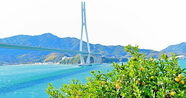 なぜ世界的な富裕層ホテル王は「瀬戸内の小島」を選んだのか？