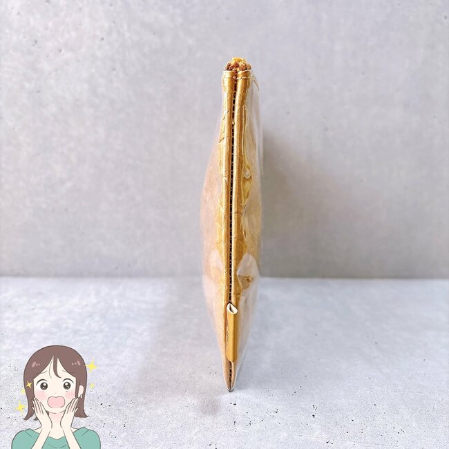 通院セットがまるっと入った!スターバックスの“紙袋みたいなポーチ”お薬が80錠も入るし、デザインが可愛すぎる!《購入レビュー》