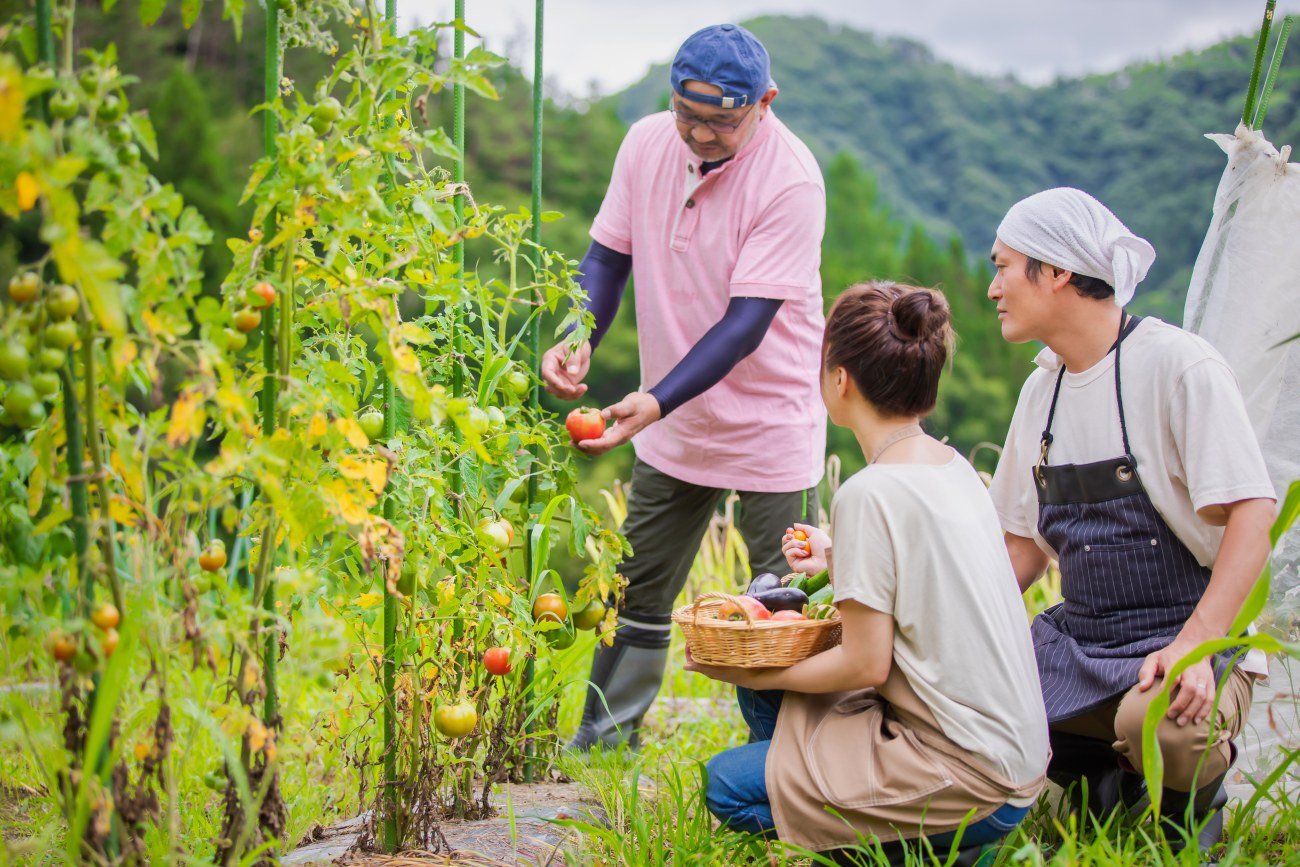 【定年後の仕事】65歳以上の就業者数ランキング、高齢になっても続けやすい「1位」の職種とは？ 理由も深掘り