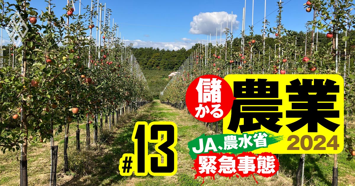 【レジェンド農家2位】リンゴ輸出最大手、急成長の（株）日本農業は革新技術をキウイ生産でも展開