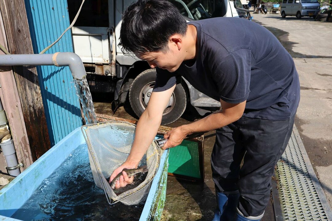 目指すはECサイトではなく“生鮮版Facebook”。なぜポケマルは「直販力をもつ生産者」を育てようとしているのか?