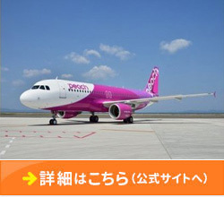 「大阪府泉佐野市」の「Peachセット①（マイル＋カレンダー）」