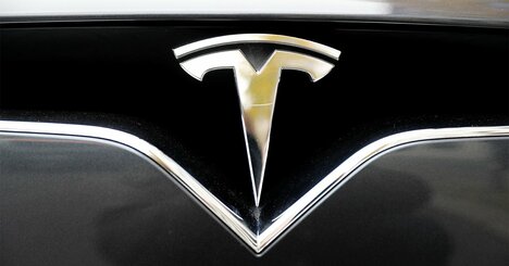 テスラのドイツ工場、問題はコウモリと不発弾