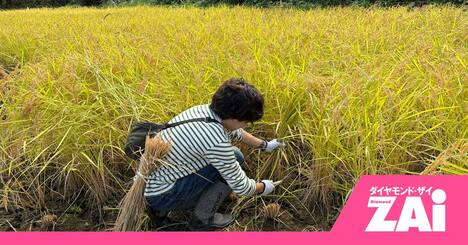 株主優待で田植えや稲刈り、工場見学!?非日常のイベントが多数の“体験型”株主優待が個人投資家の間で話題のワケとは？