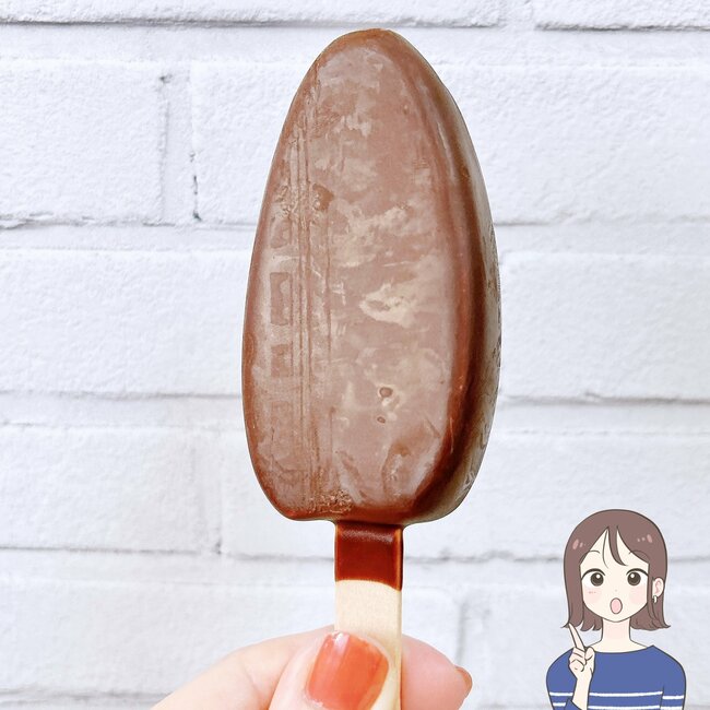 【ダイソー】30分たってもアイスが溶けない！220円の“保冷できるショルダーバッグ”が夏のお出かけに大活躍！ 《購入レビュー》