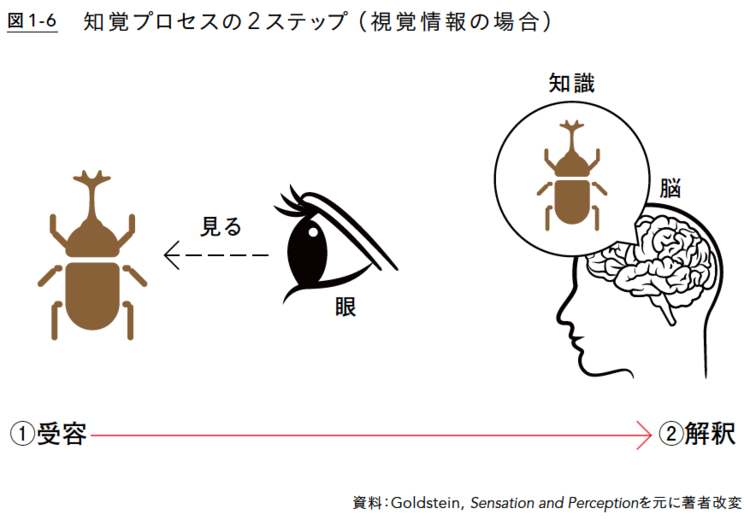 読書・勉強してるのに「ぜんぜん知識が増えない…」と感じた人が見直すべき「知覚」のしくみ