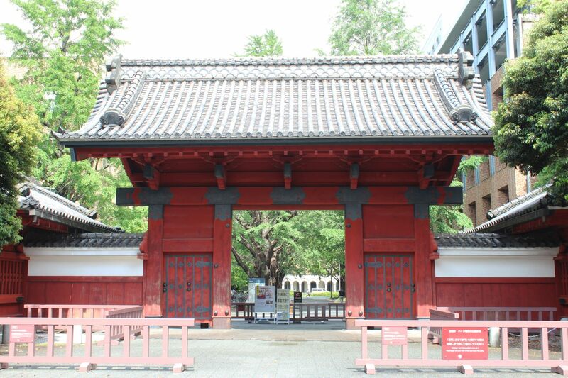 【予備校不要】東大100人合格を支えた「塾に頼らない学校」の裏側