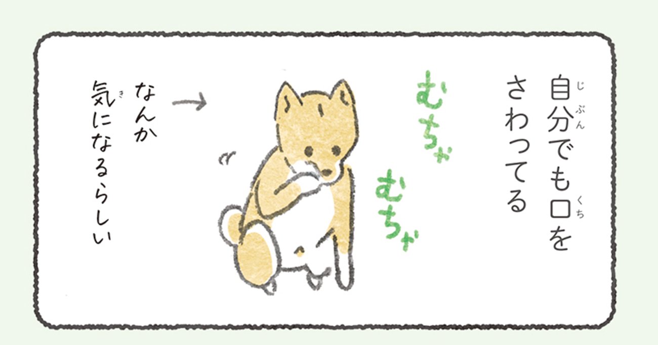 【いやしマンガ】犬の「お仕事」を手伝ったら、まさかの展開になった