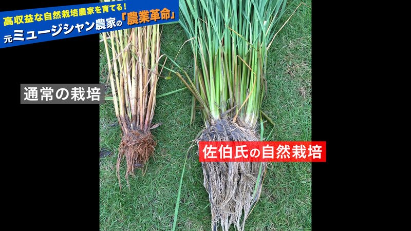 儲かる農業#9_5