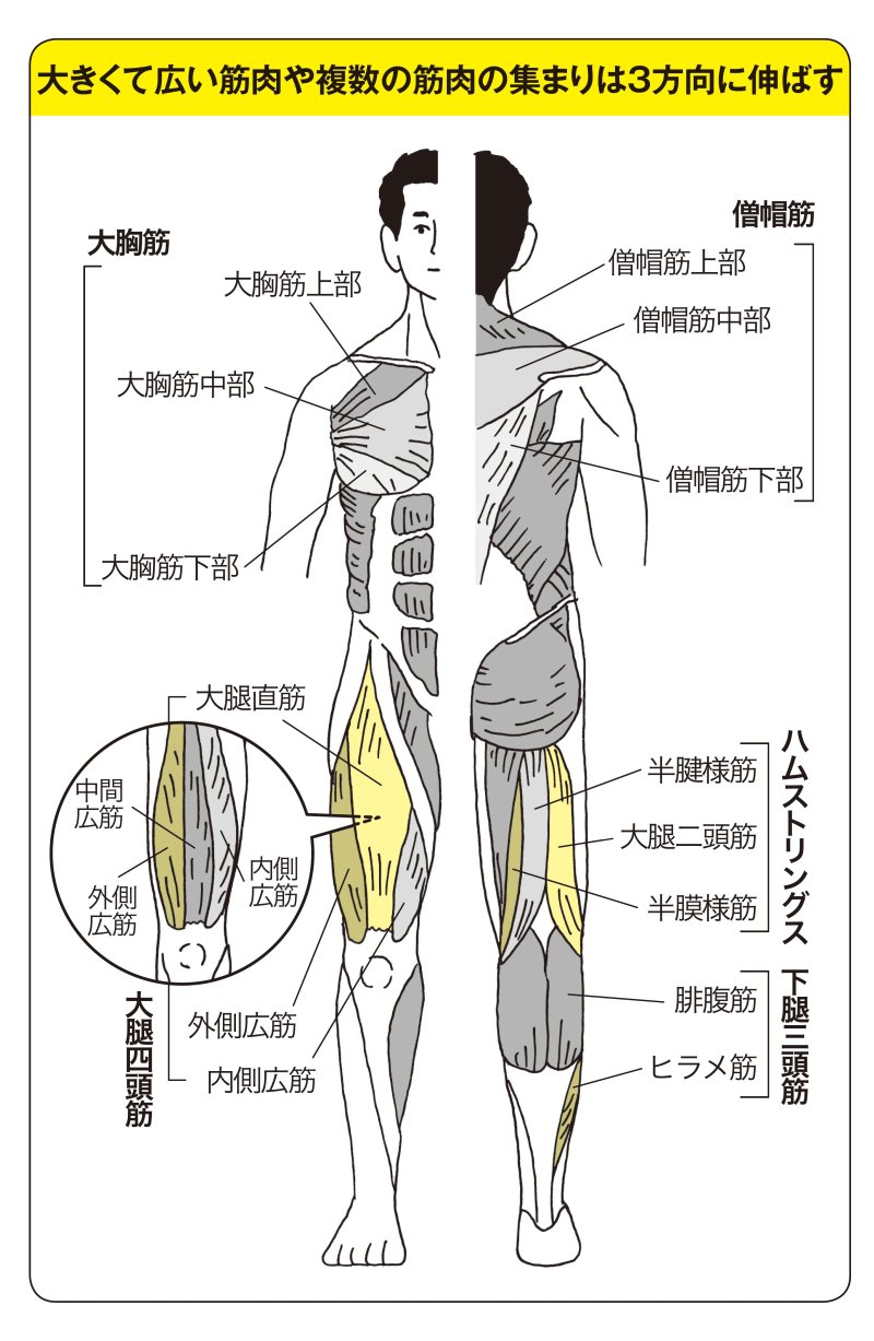 世界一受けたい授業 で話題 誰でも簡単にみるみる体が柔らかくなる 体が硬い人 に運動指導のプロが絶対オススメのストレッチ法 10年後 後悔しない体のつくり方 ダイヤモンド オンライン