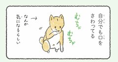 【いやしマンガ】犬の「お仕事」を手伝ったら、まさかの展開になった