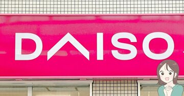 もう普通の財布に戻れないかも…！ダイソーの「ぺたんこ財布」お札が折らずに入るし、カギやカードも収納できて嬉しい！