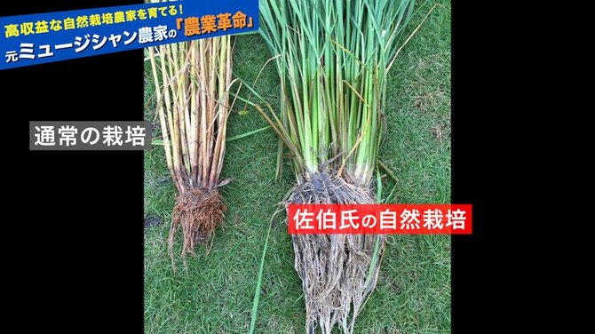 儲かる農業#9_5