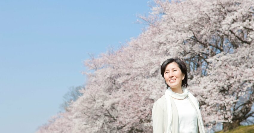 桜　お花見　季節の兆しカレンダー