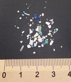 健康被害の可能性も?マイクロプラスチック問題とは